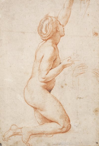 A Kneeling Nude Woman with Her Left Arm Raised by Raffaello Sanzio Raphael